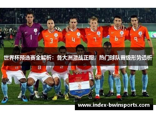 世界杯预选赛全解析：各大洲激战正酣，热门球队晋级形势透析