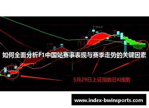 如何全面分析F1中国站赛事表现与赛季走势的关键因素