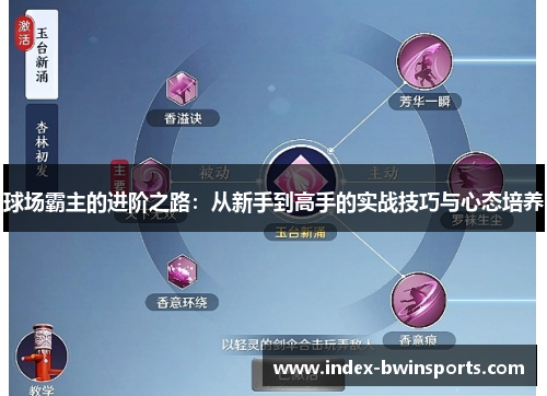 球场霸主的进阶之路：从新手到高手的实战技巧与心态培养